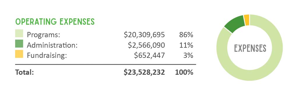 20-21_Expenses 2016 - 17 Revenue