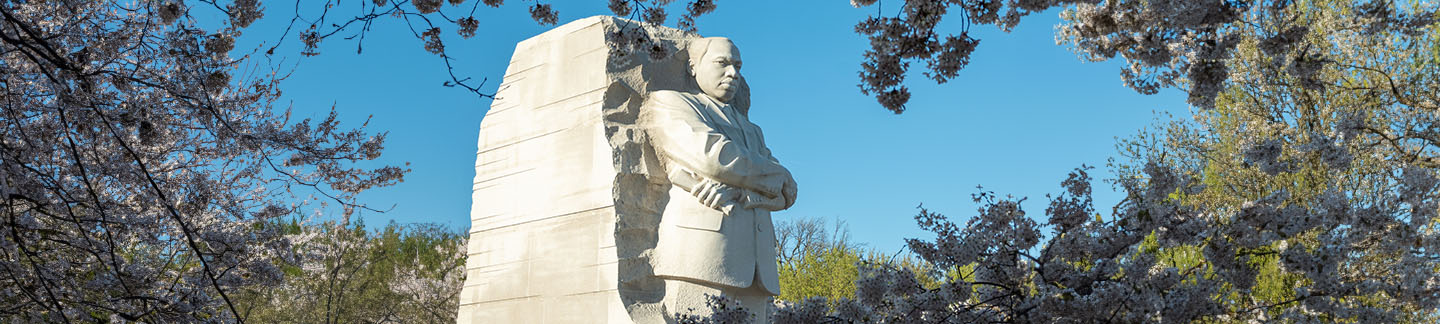 Martin Luther King, Jr. statue surrounded by cherry blossoms in Washington DC.