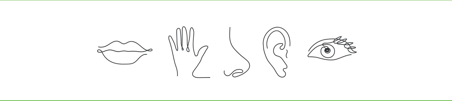 Hand drawn images of the five senses.